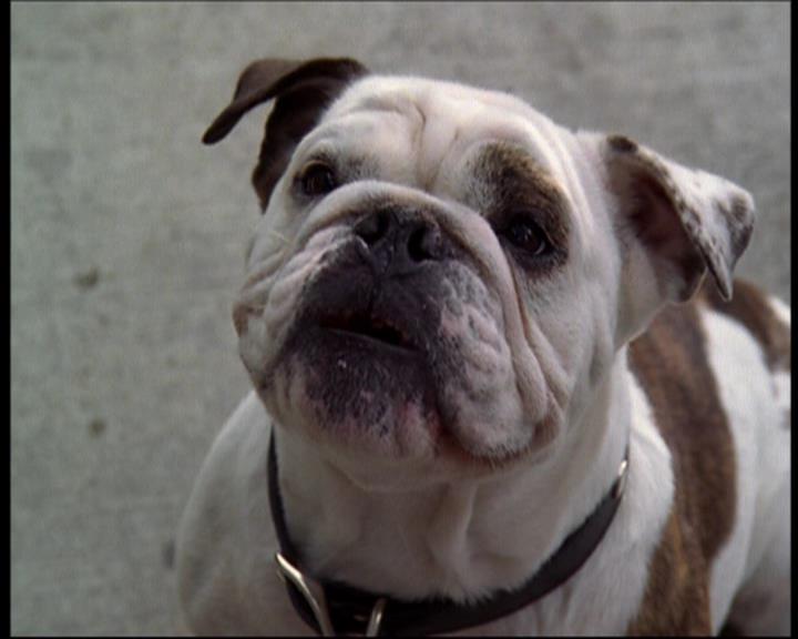 Charmed-Online_dot_net-602Valhalleyofthedolls-part21406.jpg Charmed-Online_dot_net-602Valhalleyofthedolls-part21406.jpg