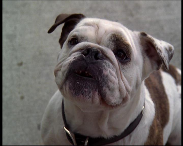 Charmed-Online_dot_net-602Valhalleyofthedolls-part21407.jpg Charmed-Online_dot_net-602Valhalleyofthedolls-part21407.jpg