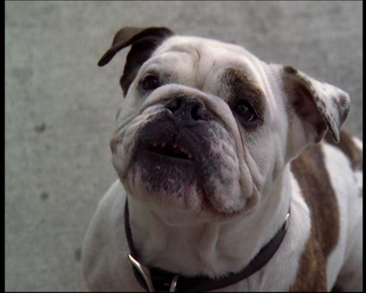 Charmed-Online_dot_net-602Valhalleyofthedolls-part21408.jpg Charmed-Online_dot_net-602Valhalleyofthedolls-part21408.jpg