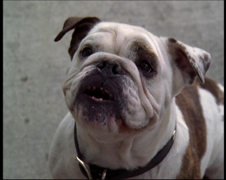 Charmed-Online_dot_net-602Valhalleyofthedolls-part21415.jpg Charmed-Online_dot_net-602Valhalleyofthedolls-part21415.jpg