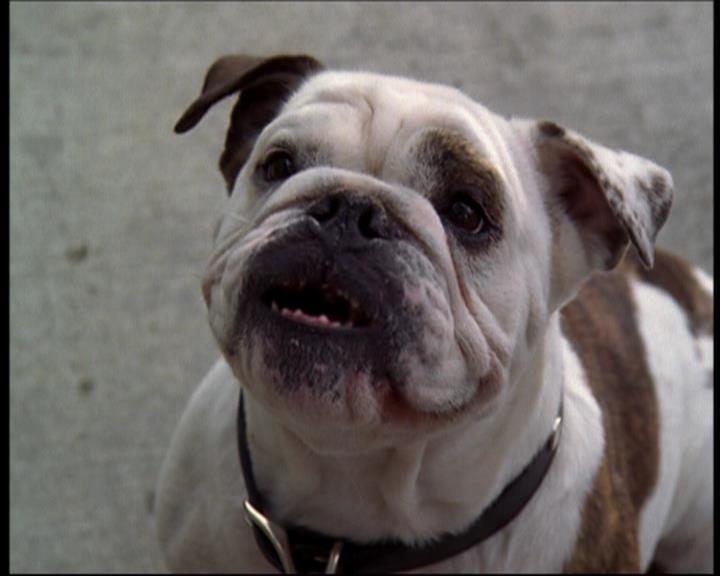 Charmed-Online_dot_net-602Valhalleyofthedolls-part21416.jpg Charmed-Online_dot_net-602Valhalleyofthedolls-part21416.jpg