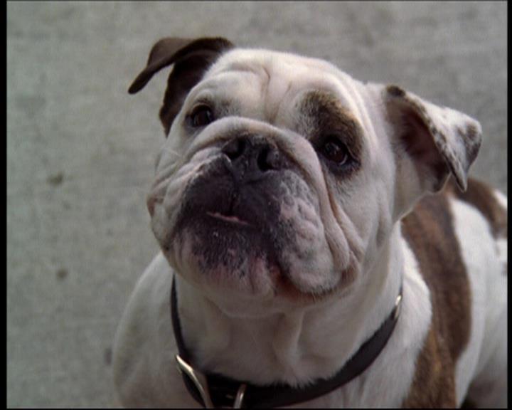 Charmed-Online_dot_net-602Valhalleyofthedolls-part21417.jpg Charmed-Online_dot_net-602Valhalleyofthedolls-part21417.jpg