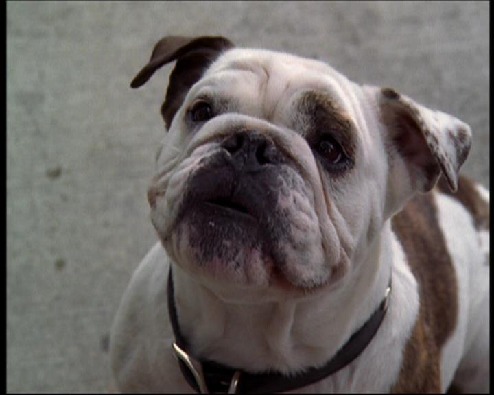 Charmed-Online_dot_net-602Valhalleyofthedolls-part21421.jpg Charmed-Online_dot_net-602Valhalleyofthedolls-part21421.jpg