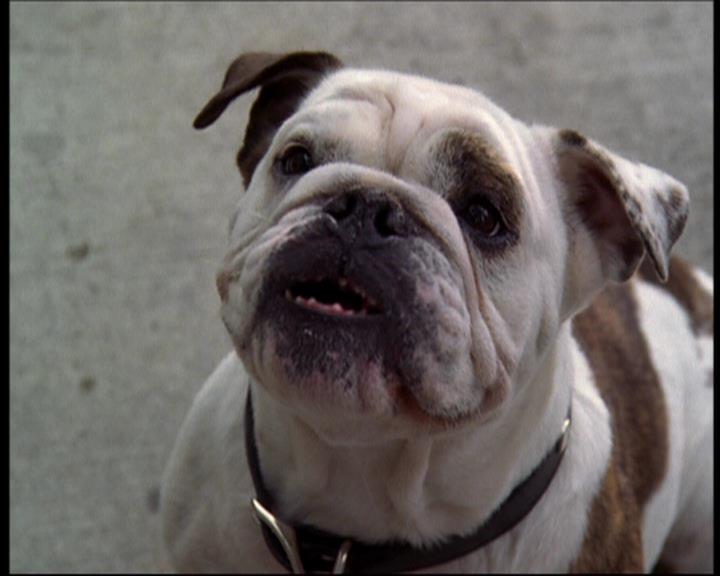 Charmed-Online_dot_net-602Valhalleyofthedolls-part21422.jpg Charmed-Online_dot_net-602Valhalleyofthedolls-part21422.jpg