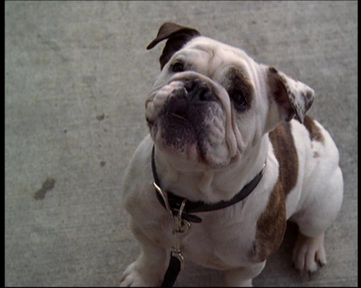 Charmed-Online_dot_net-602Valhalleyofthedolls-part21446.jpg Charmed-Online_dot_net-602Valhalleyofthedolls-part21446.jpg