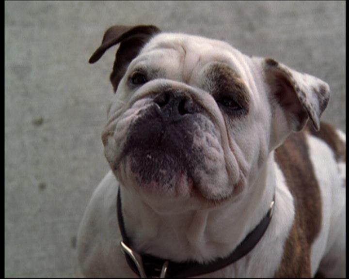 Charmed-Online_dot_net-602Valhalleyofthedolls-part21453.jpg Charmed-Online_dot_net-602Valhalleyofthedolls-part21453.jpg