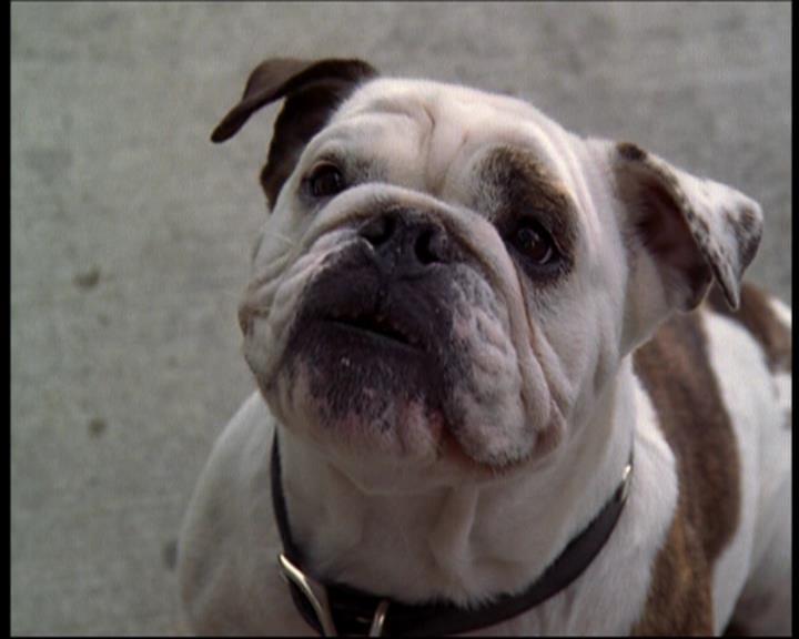 Charmed-Online_dot_net-602Valhalleyofthedolls-part21456.jpg Charmed-Online_dot_net-602Valhalleyofthedolls-part21456.jpg