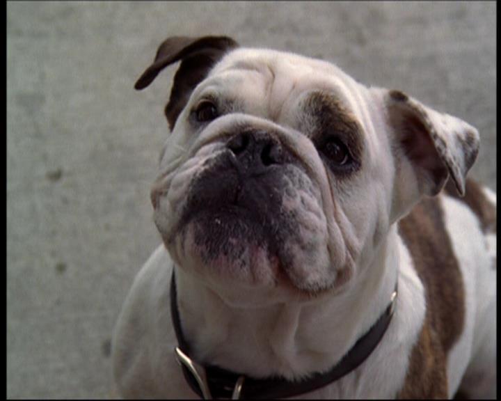 Charmed-Online_dot_net-602Valhalleyofthedolls-part21457.jpg Charmed-Online_dot_net-602Valhalleyofthedolls-part21457.jpg