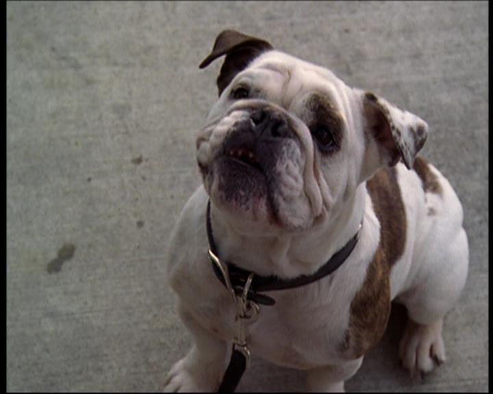 Charmed-Online_dot_net-602Valhalleyofthedolls-part21468.jpg Charmed-Online_dot_net-602Valhalleyofthedolls-part21468.jpg