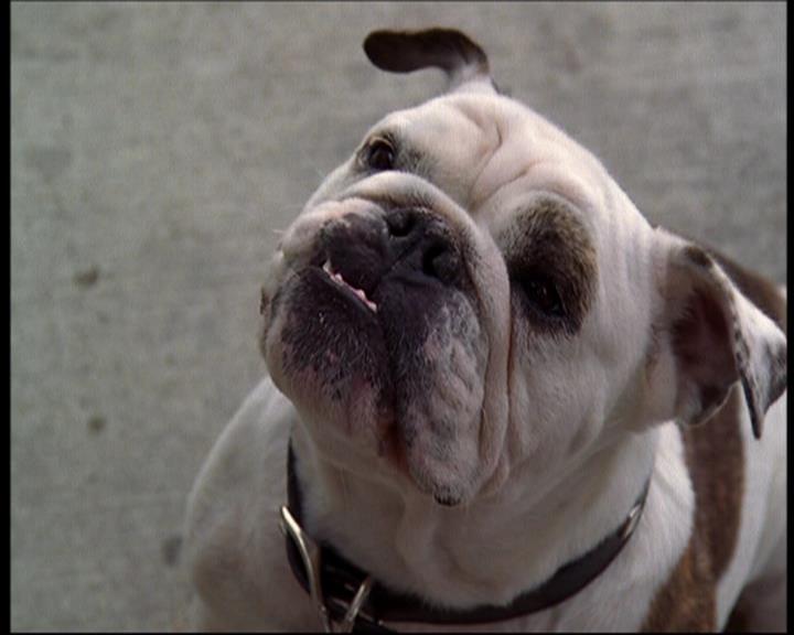 Charmed-Online_dot_net-602Valhalleyofthedolls-part21522.jpg Charmed-Online_dot_net-602Valhalleyofthedolls-part21522.jpg