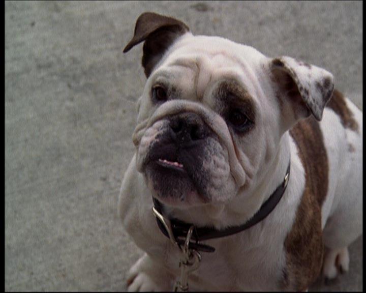 Charmed-Online_dot_net-602Valhalleyofthedolls-part21538.jpg Charmed-Online_dot_net-602Valhalleyofthedolls-part21538.jpg