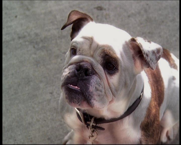 Charmed-Online_dot_net-602Valhalleyofthedolls-part21539.jpg Charmed-Online_dot_net-602Valhalleyofthedolls-part21539.jpg