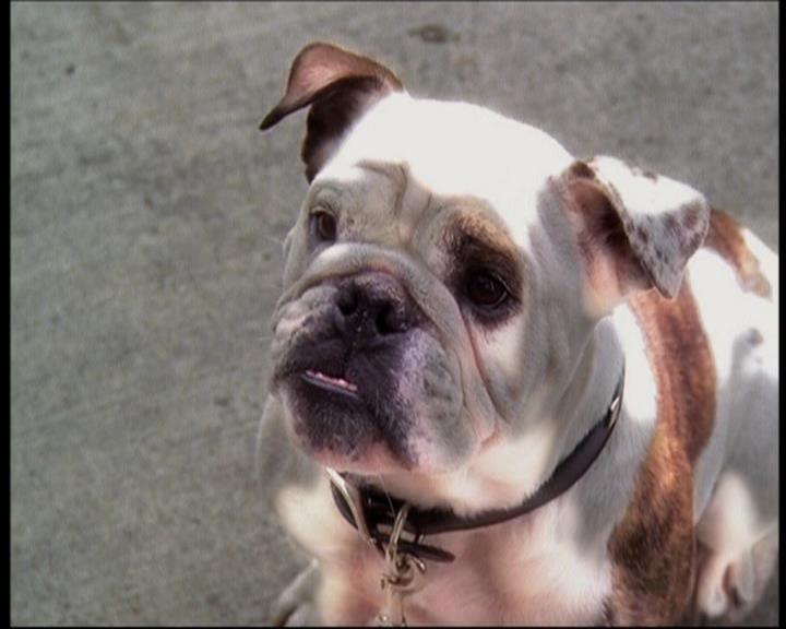 Charmed-Online_dot_net-602Valhalleyofthedolls-part21540.jpg Charmed-Online_dot_net-602Valhalleyofthedolls-part21540.jpg