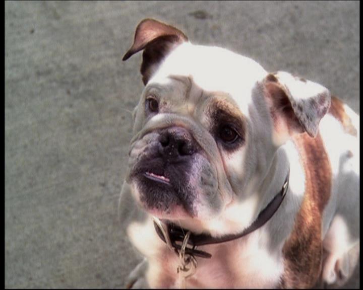 Charmed-Online_dot_net-602Valhalleyofthedolls-part21541.jpg Charmed-Online_dot_net-602Valhalleyofthedolls-part21541.jpg