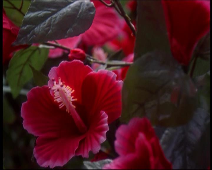 Charmed-Online_dot_net-602Valhalleyofthedolls-part22077.jpg Charmed-Online_dot_net-602Valhalleyofthedolls-part22077.jpg