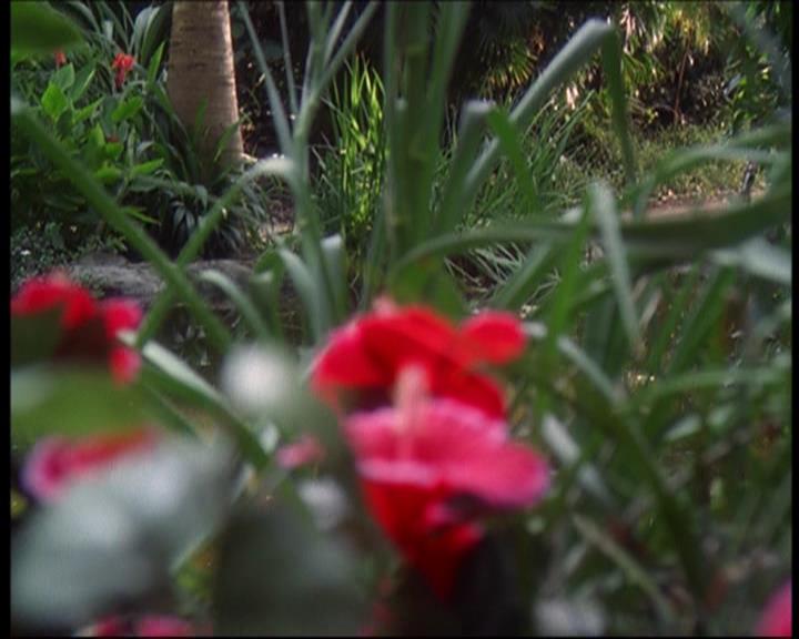 Charmed-Online_dot_net-602Valhalleyofthedolls-part22080.jpg Charmed-Online_dot_net-602Valhalleyofthedolls-part22080.jpg