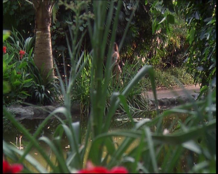 Charmed-Online_dot_net-602Valhalleyofthedolls-part22083.jpg Charmed-Online_dot_net-602Valhalleyofthedolls-part22083.jpg