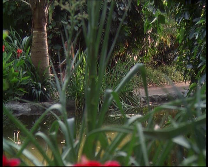 Charmed-Online_dot_net-602Valhalleyofthedolls-part22084.jpg Charmed-Online_dot_net-602Valhalleyofthedolls-part22084.jpg