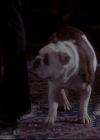 Bestandsnaam=Charmed-Online_dot_net-602Valhalleyofthedolls-part20582.jpg
Bestandsgrootte=27KiB
Afmetingen = 720x576
Datum toegevoegd = mei 07, 2014 Charmed-Online_dot_net-602Valhalleyofthedolls-part20582.jpg