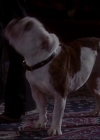 Bestandsnaam=Charmed-Online_dot_net-602Valhalleyofthedolls-part20585.jpg
Bestandsgrootte=29KiB
Afmetingen = 720x576
Datum toegevoegd = mei 07, 2014 Charmed-Online_dot_net-602Valhalleyofthedolls-part20585.jpg