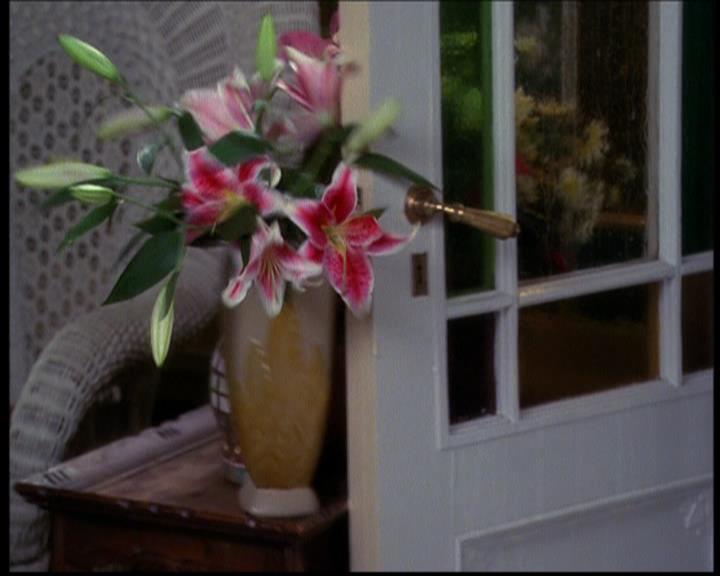 Charmed-Online_dot_net-603ForgetMe---Not1155.jpg Charmed-Online_dot_net-603ForgetMe---Not1155.jpg