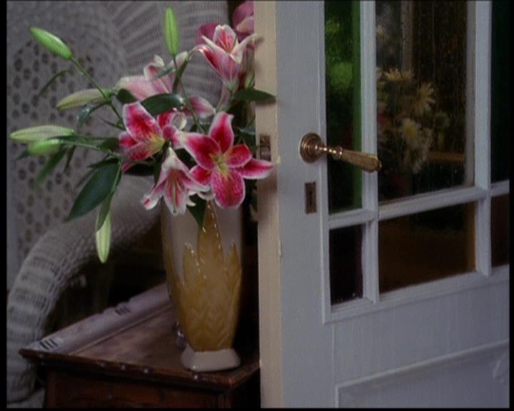 Charmed-Online_dot_net-603ForgetMe---Not1156.jpg Charmed-Online_dot_net-603ForgetMe---Not1156.jpg