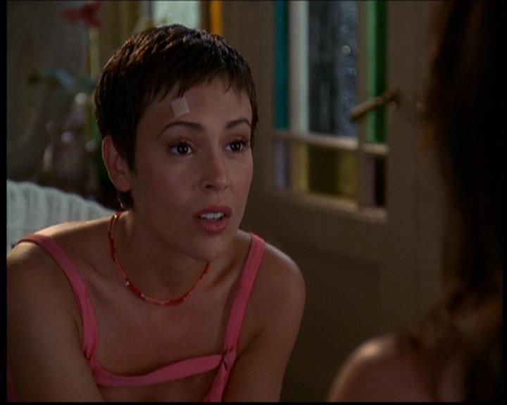 Charmed-Online_dot_net-603ForgetMe---Not1528.jpg