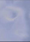 Charmed-Online_dot_net-603ForgetMe---Not0624.jpg