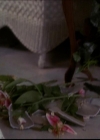 Charmed-Online_dot_net-603ForgetMe---Not1167.jpg