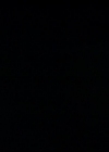Charmed-Online_dot_net-603ForgetMe---Not1859.jpg
