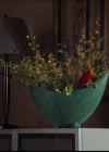 Bestandsnaam=Charmed-Online_dot_net-603ForgetMe---Not2367.jpg
Bestandsgrootte=30KiB
Afmetingen = 720x576
Datum toegevoegd = mei 08, 2014 Charmed-Online_dot_net-603ForgetMe---Not2367.jpg