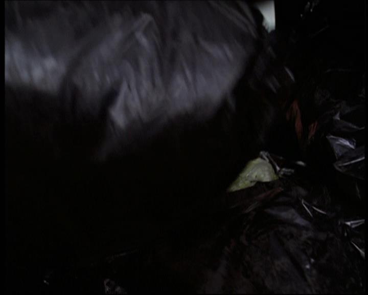 Charmed-Online-dot-net_606MyThreeWitches1862.jpg Charmed-Online-dot-net_606MyThreeWitches1862.jpg