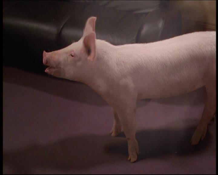 Charmed-Online-dot-net_607SoulSurvivor1318.jpg Charmed-Online-dot-net_607SoulSurvivor1318.jpg