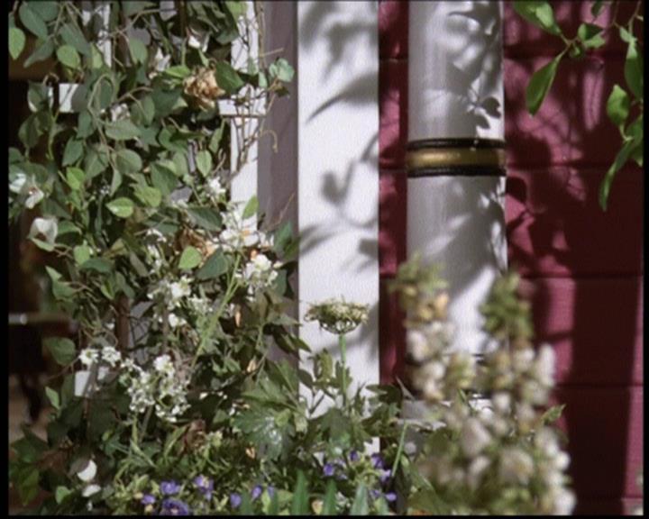 Charmed-Online-dot-net_608SwordAndTheCity1074.jpg Charmed-Online-dot-net_608SwordAndTheCity1074.jpg