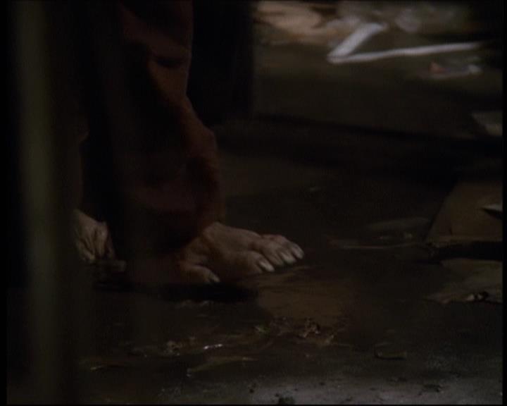 Charmed-Online-dot-609LittleMonsters0604.jpg Charmed-Online-dot-609LittleMonsters0604.jpg