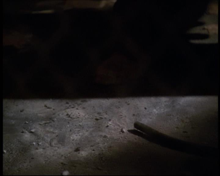 Charmed-Online-dot-609LittleMonsters0614.jpg Charmed-Online-dot-609LittleMonsters0614.jpg