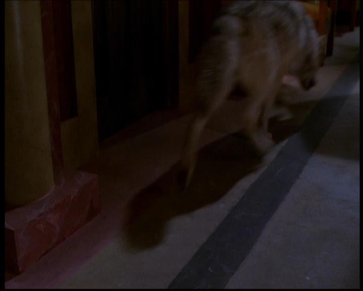 Charmed-Online-dot-614TheLegendOftheSleepyHalliwell0462.jpg