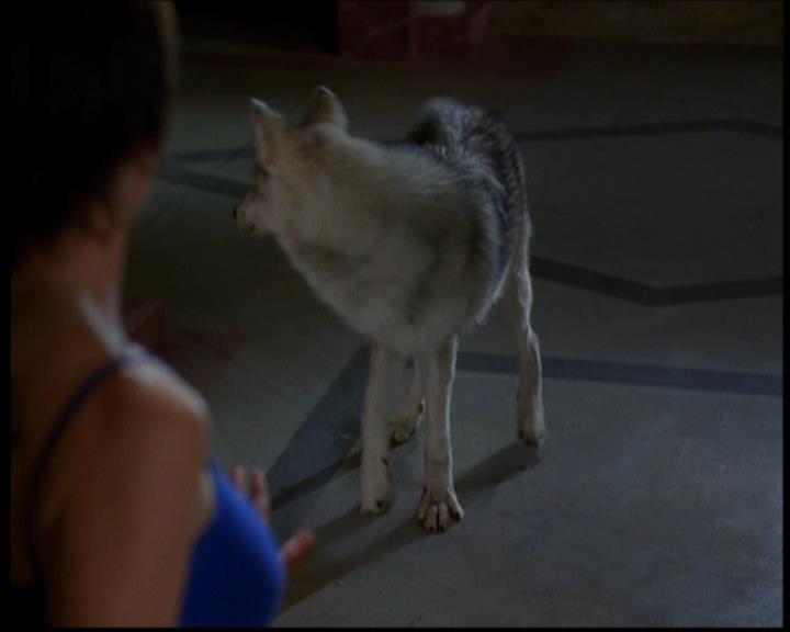 Charmed-Online-dot-614TheLegendOftheSleepyHalliwell0787.jpg Charmed-Online-dot-614TheLegendOftheSleepyHalliwell0787.jpg