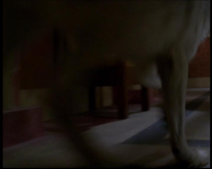 Charmed-Online-dot-614TheLegendOftheSleepyHalliwell0788.jpg