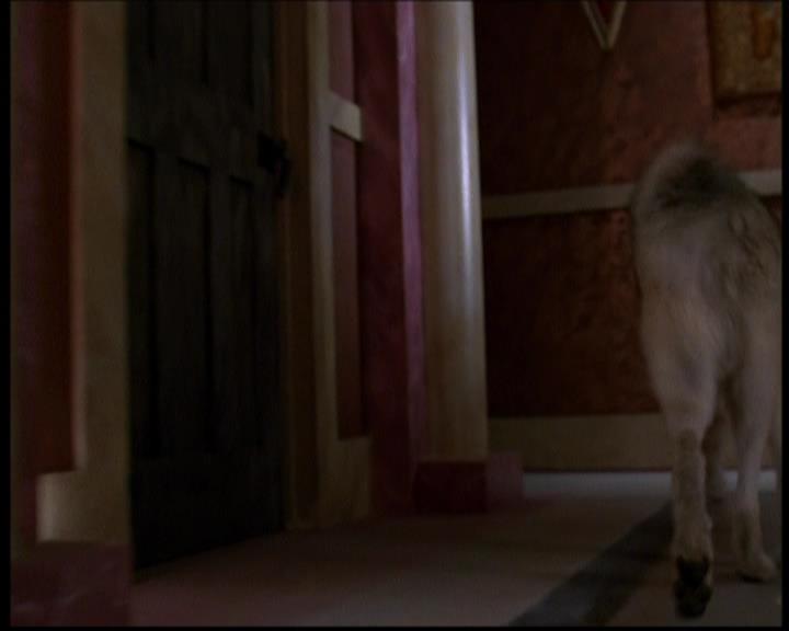 Charmed-Online-dot-614TheLegendOftheSleepyHalliwell0789.jpg Charmed-Online-dot-614TheLegendOftheSleepyHalliwell0789.jpg