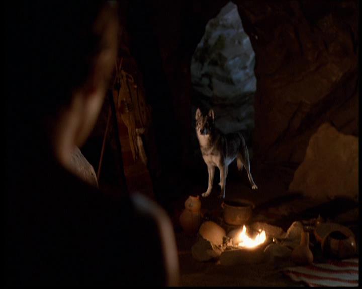 Charmed-Online-dot-614TheLegendOftheSleepyHalliwell0805.jpg Charmed-Online-dot-614TheLegendOftheSleepyHalliwell0805.jpg