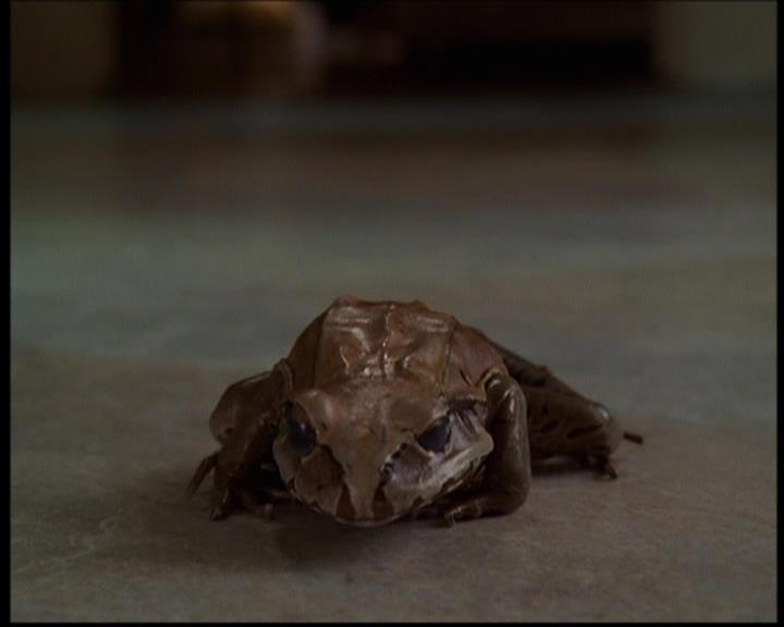 Charmed-Online-dot-614TheLegendOftheSleepyHalliwell1571.jpg