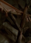 Charmed-Online-dot-615IDreamOfPhoebe0195.jpg