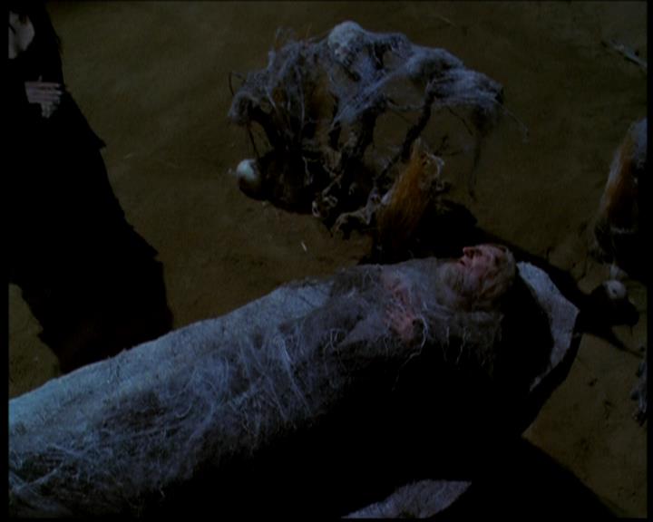 Charmed-Online-dot-618SpinCity0416.jpg Charmed-Online-dot-618SpinCity0416.jpg