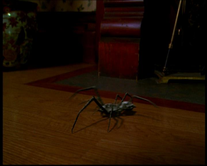 Charmed-Online-dot-618SpinCity1481.jpg