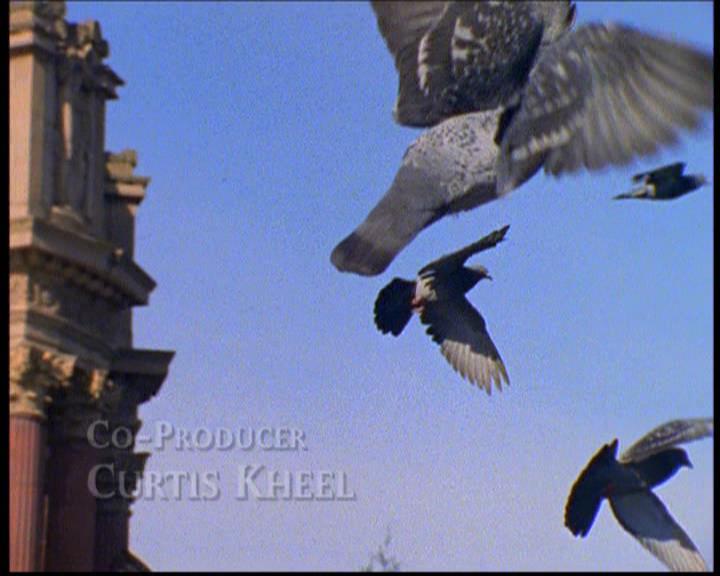 Charmed-Online-dot-net_620AWrongDaysJourneyIntoRight0300.jpg
