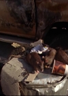 Bestandsnaam=Charmed-Online-dot-net_622ItsABadBadBadBadWorldPart1-1552.jpg
Bestandsgrootte=42KiB
Afmetingen = 720x576
Datum toegevoegd = mei 08, 2014 Charmed-Online-dot-net_622ItsABadBadBadBadWorldPart1-1552.jpg