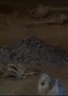 Bestandsnaam=Charmed-Online-dot-net_623ItsABadBadBadBadWorldPart2-1781.jpg
Bestandsgrootte=26KiB
Afmetingen = 720x576
Datum toegevoegd = mei 08, 2014 Charmed-Online-dot-net_623ItsABadBadBadBadWorldPart2-1781.jpg