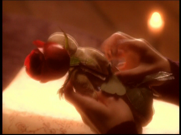 charmed-online_dot_net_OpeningCreditsS6-00003.png