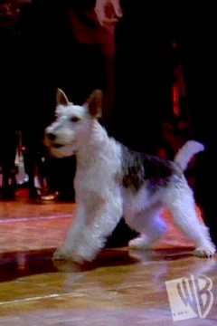 Ep 128 - 7.jpg Ep 128 - 7.jpg